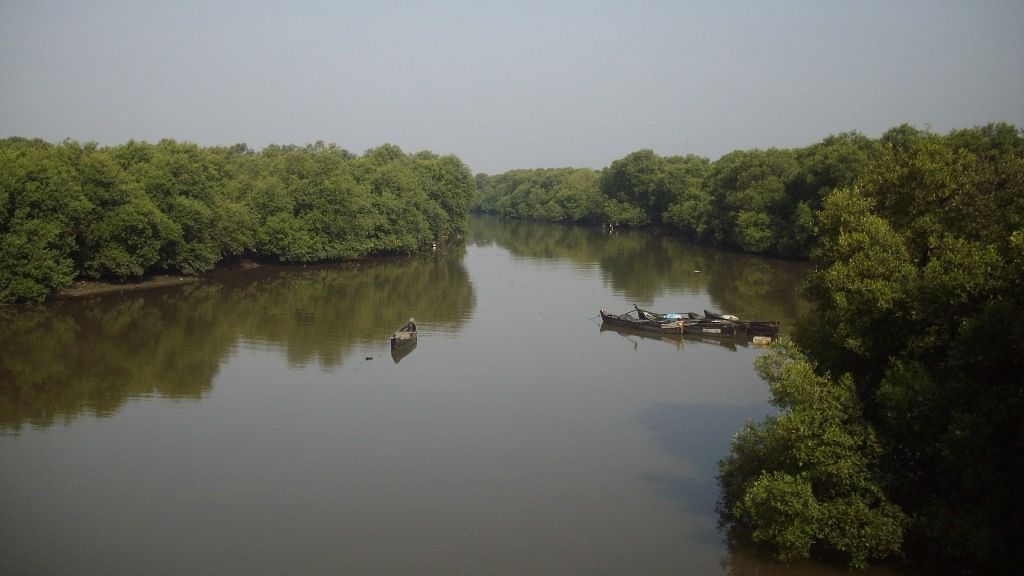 Mangroves in Mumbai are under threat. (Photo courtesy: Wikimedia Commons)&nbsp;