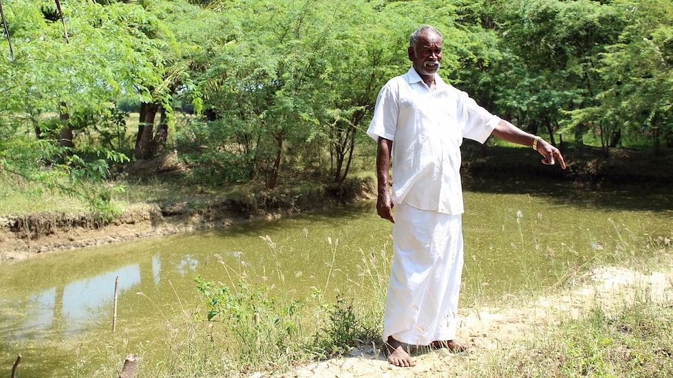 Balasubramaniam Palanisamy, a farmer from Chettipalayam village, survived drought with organic farming. (Photo Courtesy: Sharada Balasubramanian)