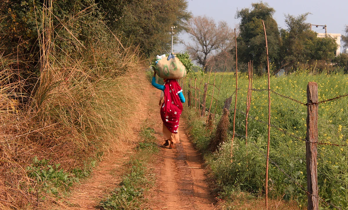 Kavita Yadav carries 30-35 kg of fodder on her back from her farm alone. (Photo: Kashish Badar)