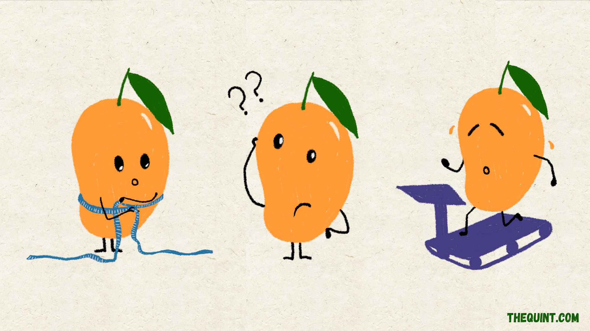 All your questions about the mango, answered here. (GFX courtesy: Rahul Gupta)