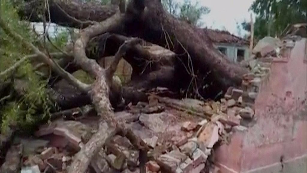 Trees uprooted after a fierce storm in Bihar. (ANI Screengrab)