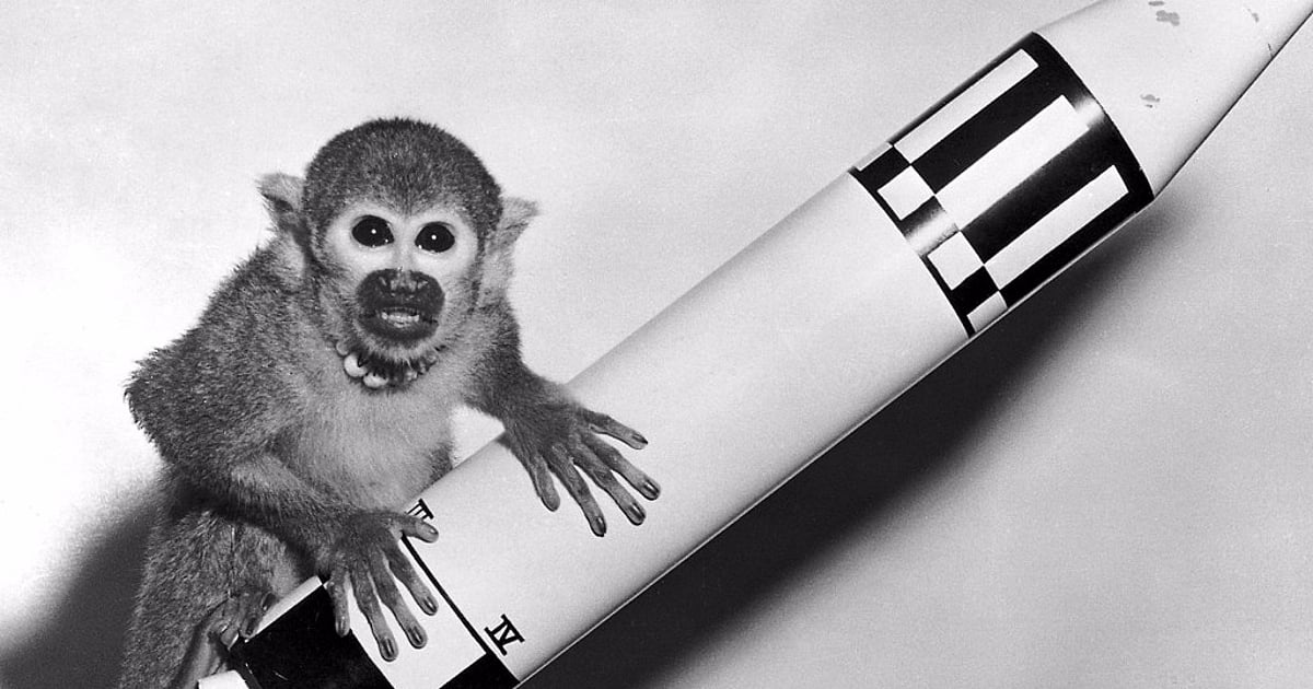 Able and Miss Baker: Remembering NASA’s Beloved Space Monkeys