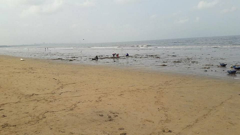 The environmental miracle that is Mumbai’s Versova beach, all thanks to one man and his love for mother nature. 