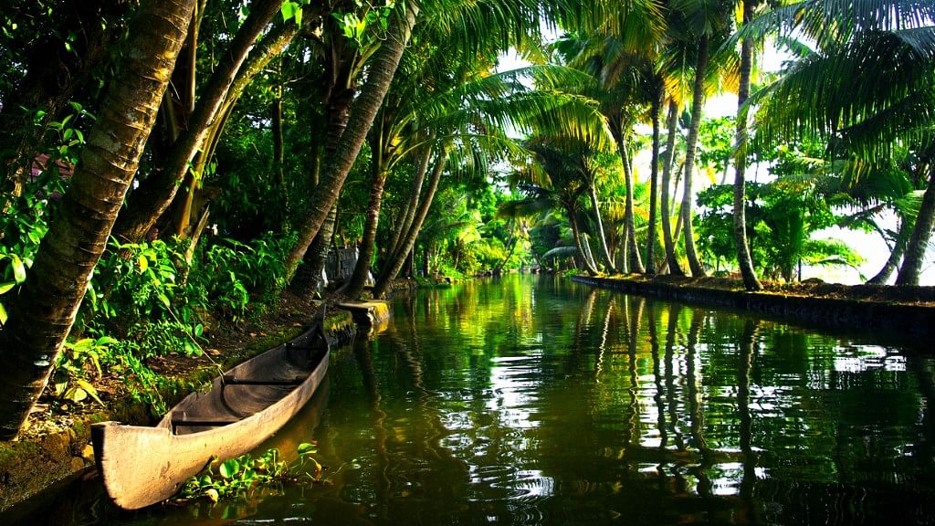 Kerala receives annual average rain of 3,107 mm, enough to sustain rainforests that the state is home to. (Photo: iStock)