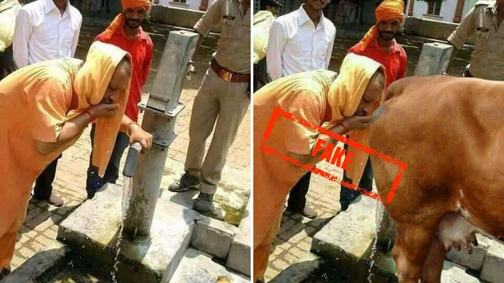 The original picture (left) showed Yogi Adityanath drinking water from a hand pump. (Photo Courtesy: Twitter/<a href="https://twitter.com/tavleen_singh/status/874271479537352704">@tavleen_singh</a>/<a href="https://twitter.com/manojrajant/status/849222110949982209?ref_src=twsrc%5Etfw&amp;ref_url=http%3A%2F%2Fsmhoaxslayer.com%2Fkuch-bhi-fake-photo-showing-cm-adityanath-is-drinking-gaumutra%2F">@manojrajant</a>)&nbsp;