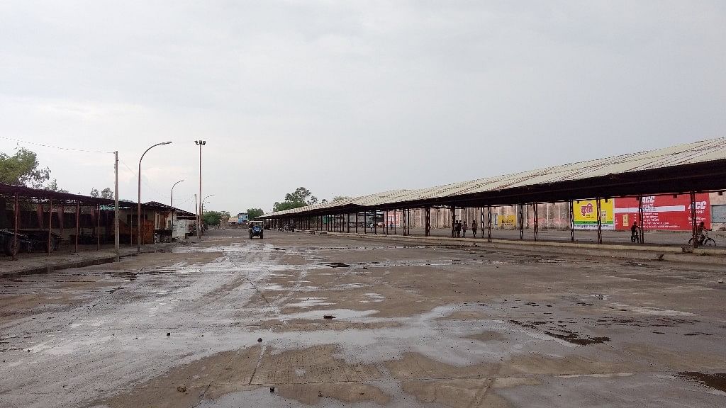 One of the largest mandis in Madhya Pradesh, the sprawling Shujalpur farmers’ market is among several mandis in the Malwa region that have been non-functional since 1 June after farmers forced their closure. (Photo: Chandan Nandy/<b>The Quint</b>)