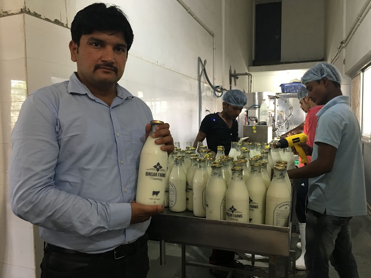 

Deepak Raj, Vice President of Binsar Farms. The farm produces milk using organic methods. (Photo: Shiv Kumar Maurya/<b>The Quint</b>)