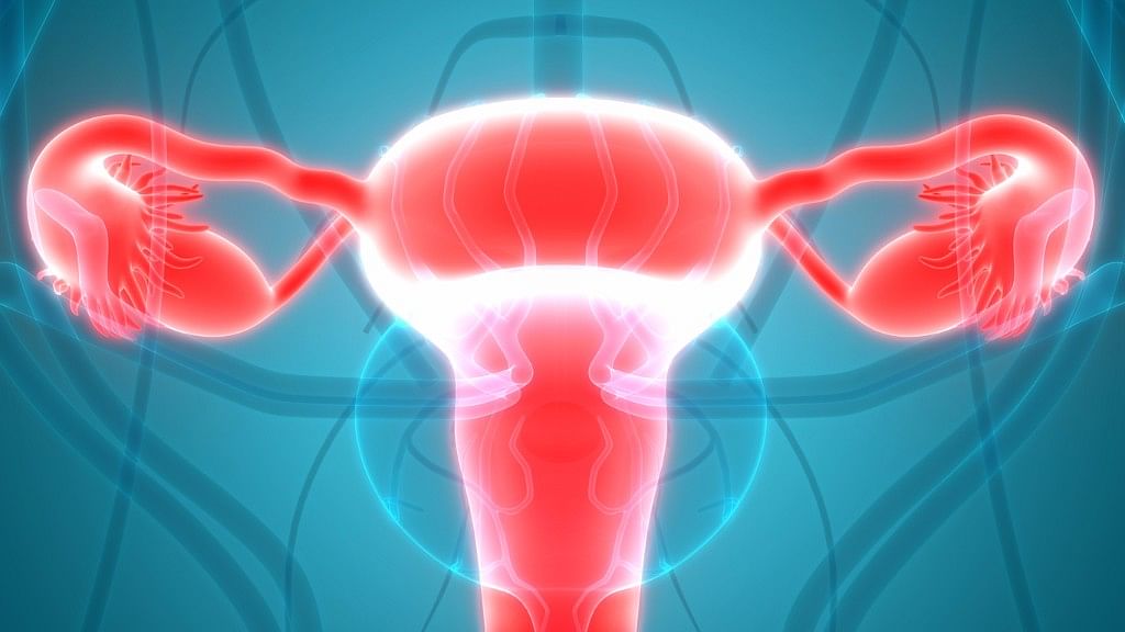 In a breakthrough, Pune’s Galaxy Hospital performed India’s first uterus transplant on 18 May. (Photo Courtesy: iStock)      