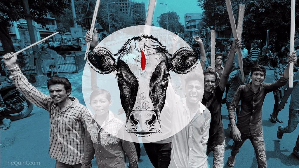 A mob went on a rampage alleging cow slaughter in Maharashtra’s Ratnagiri district on Saturday, 26 January, after cattle carcasses were found in a village. Image used for representation only.&nbsp;