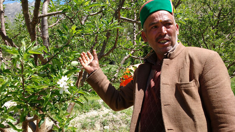 “Life is tough here,” is the most common refrain heard from Kinnaur locals.