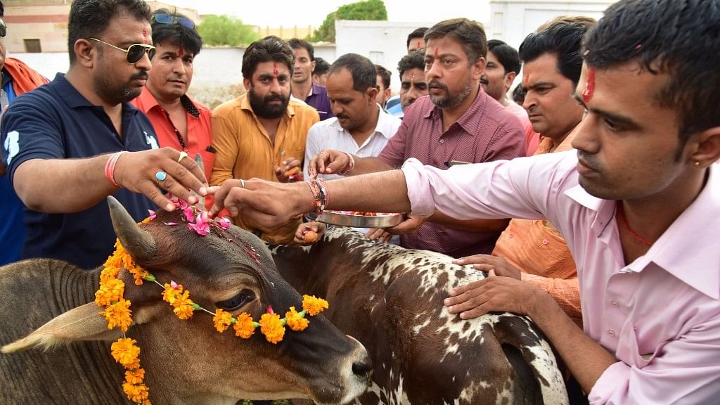 BJP is following the Congress’ playbook on cow politics in the Northeast, but it makes them appear two-faced.