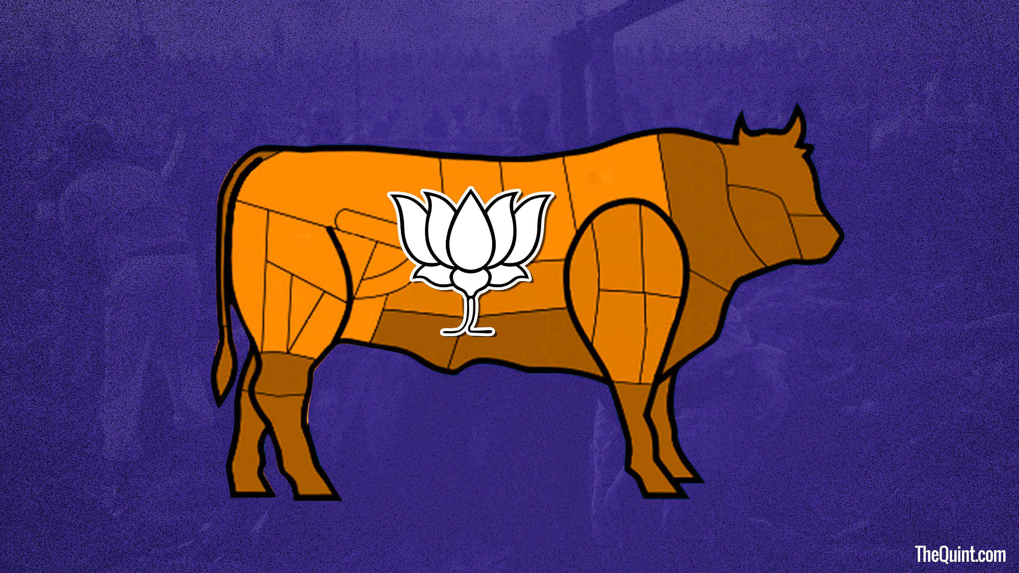 BJP is following Congress’ footsteps in the Northeast with its cow politics. (Photo: Harsh Sahani/<b>The Quint</b>)