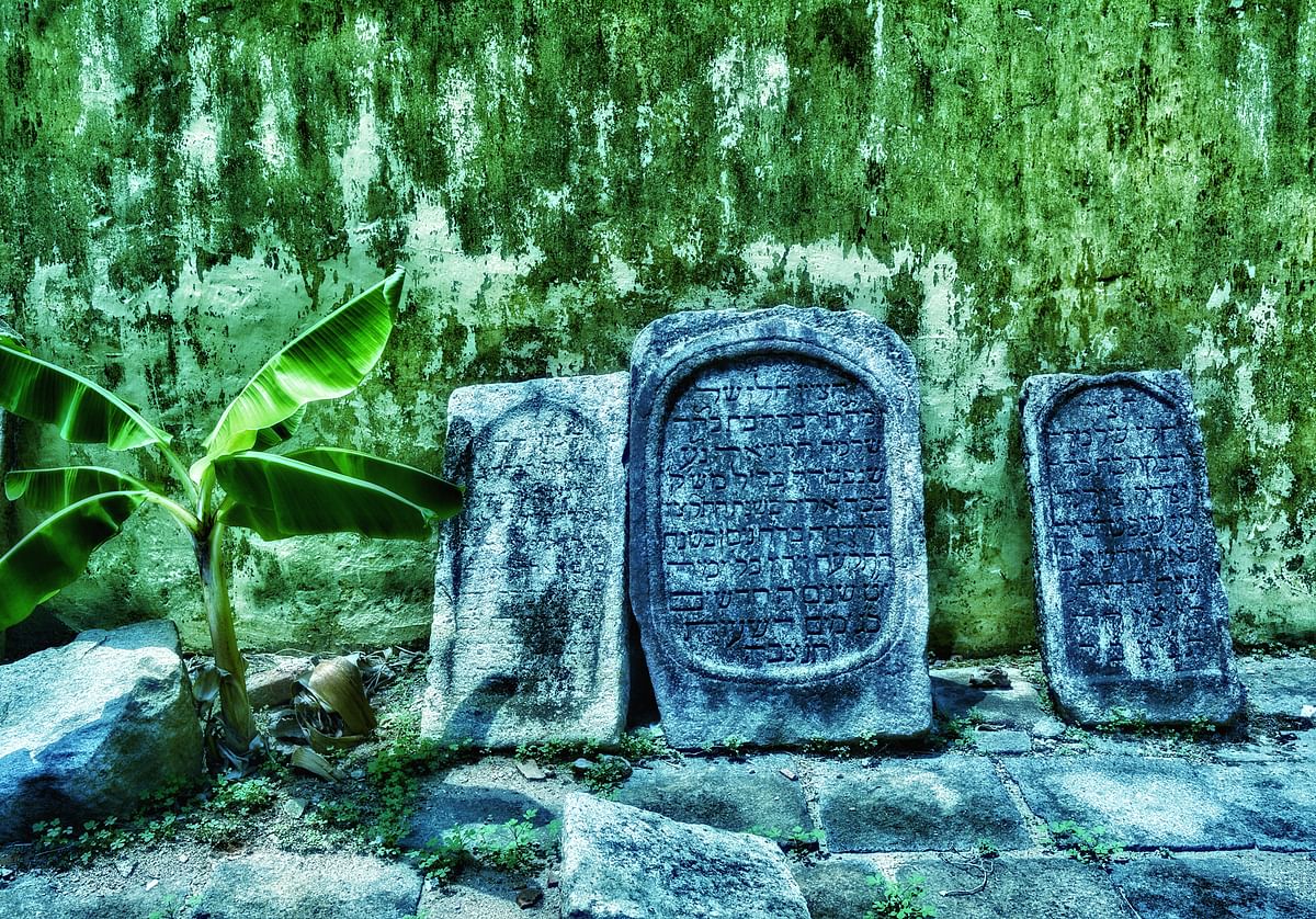 When you travel to Kochi, make sure you catch a glimpse of the last Jews before they’re lost in the pages of history