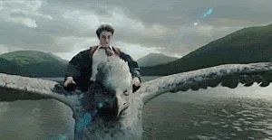 (GIF Courtesy: GIPHY)