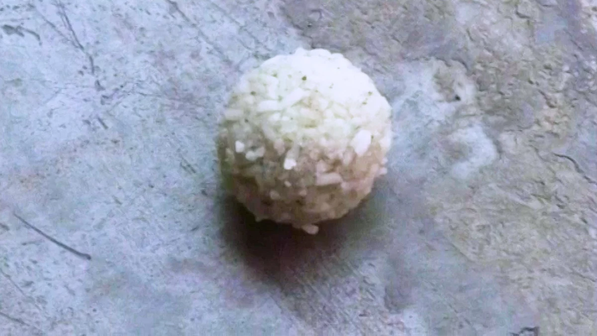 Plastic rice ball. (Photo: ANI screengrab)