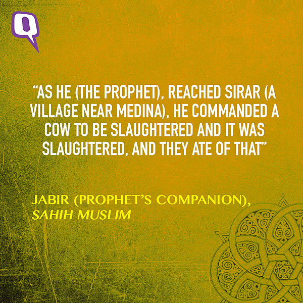 (Graphic: Aaqib Raza Khan/<b>The Quint</b>)