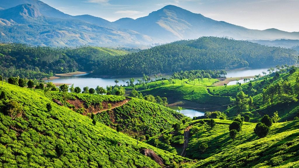 Kerala is the paradise you have been dreaming of all this while!