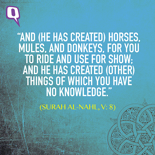 (Graphic: Aaqib Raza Khan/<b>The Quint</b>)