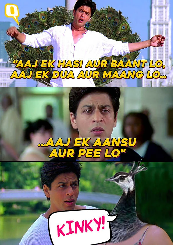 Ye Dil Maange ‘Mor’ Memes? Then Check Out These Funny Peacock Puns