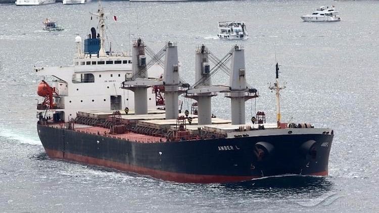 The Panama-based cargo ship Amber L which crashed into a fishing boat in Kochi was arrested by the Indian Navy. (Photo: The News Minute)