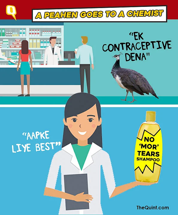Ye Dil Maange ‘Mor’ Memes? Then Check Out These Funny Peacock Puns