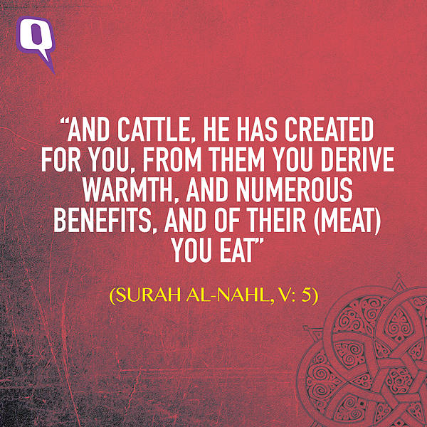 (Graphic: Aaqib Raza Khan/<b>The Quint</b>)