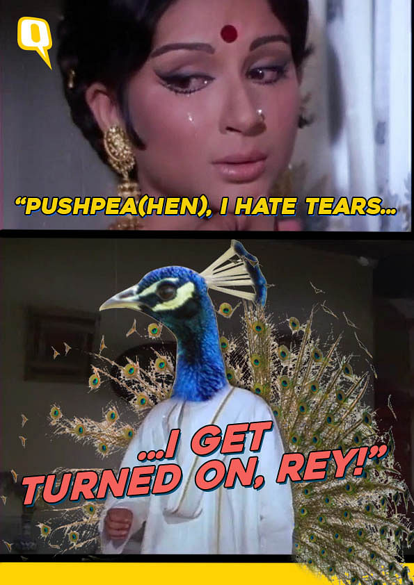 Ye Dil Maange 'Mor' Memes? Then Check Out These Funny Peacock Puns