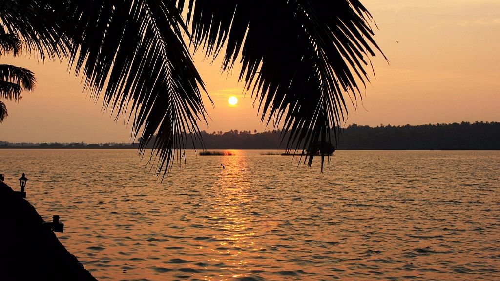 Kerala is the paradise you have been dreaming of all this while!