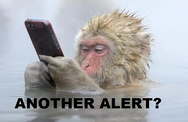 Monitor all alerts from the bank. 
