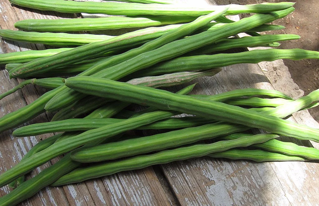 Moringa provides an easy way to meet your daily nutrient requirements without having to eat a full-fledged meal.