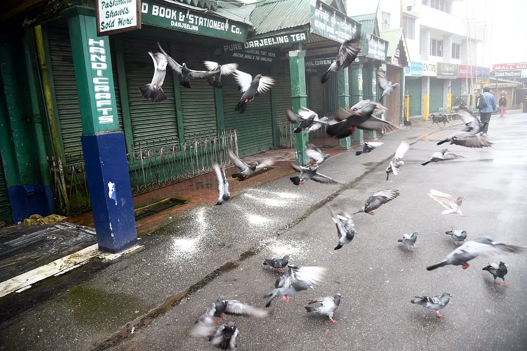 Empty streets in Darjeeling.