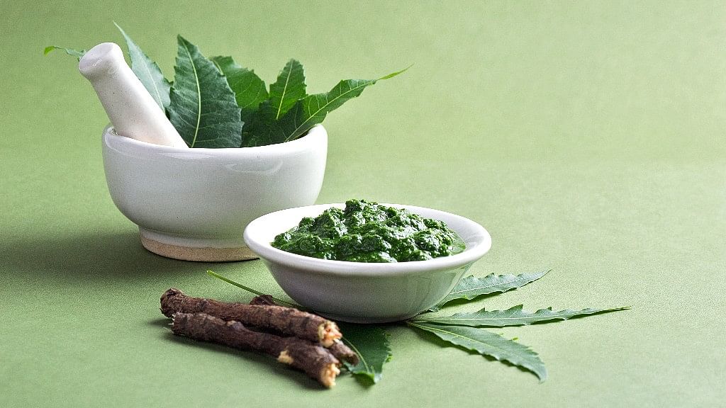 Neem tree is replete with skin and hair benefits.&nbsp;