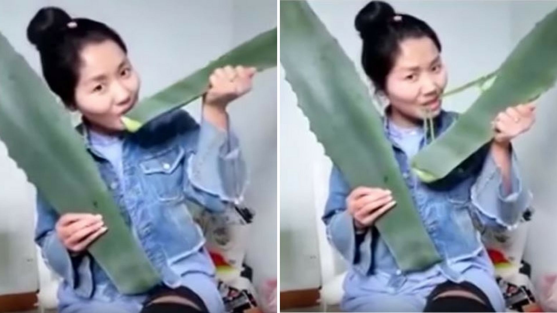 Chinese vlogger mistakes poisonous plant for aloe vera. (Photo: Youtube Screengrab)