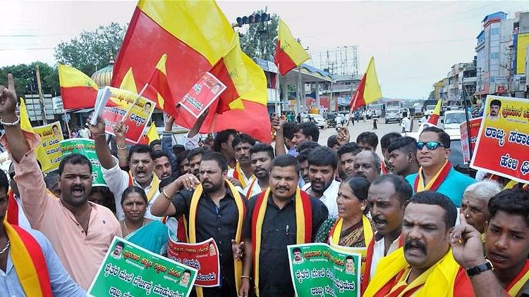 

File photo of activists in Karnataka holding the unofficial yellow and red ‘state’ flag.