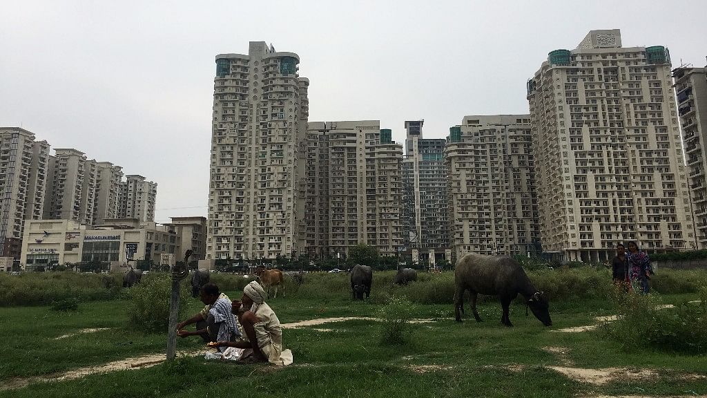Mahagun Moderne is built on the intersection of two worlds; concrete towers surrounded by bulls grazing in lush, green fields.&nbsp;
