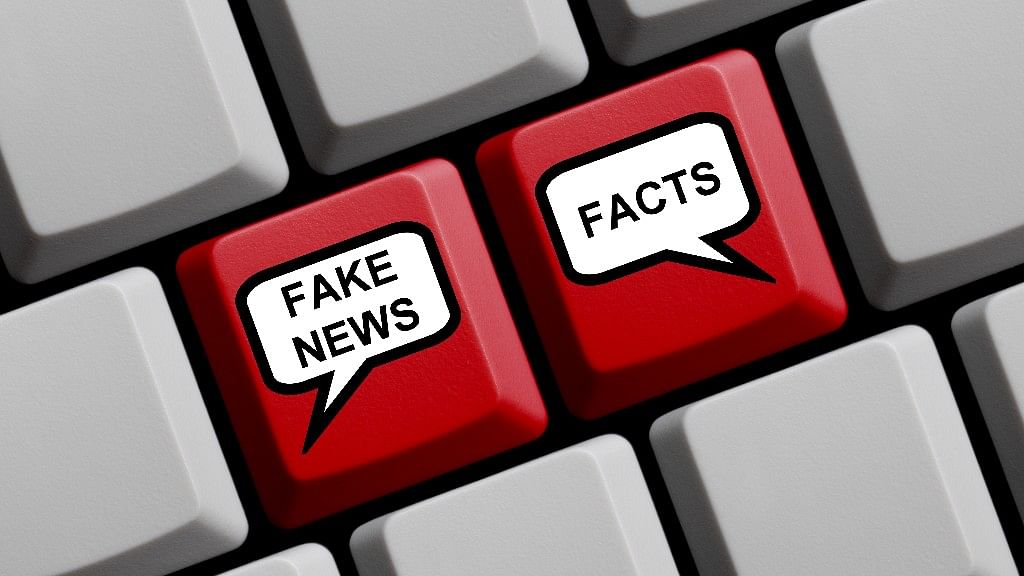 You can fight a lie, but how do you win a shadow war against misinformation and disinformation?