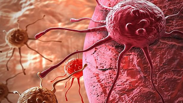 Novel Approach Brings Hope in Targeting Cancer Cells: Study