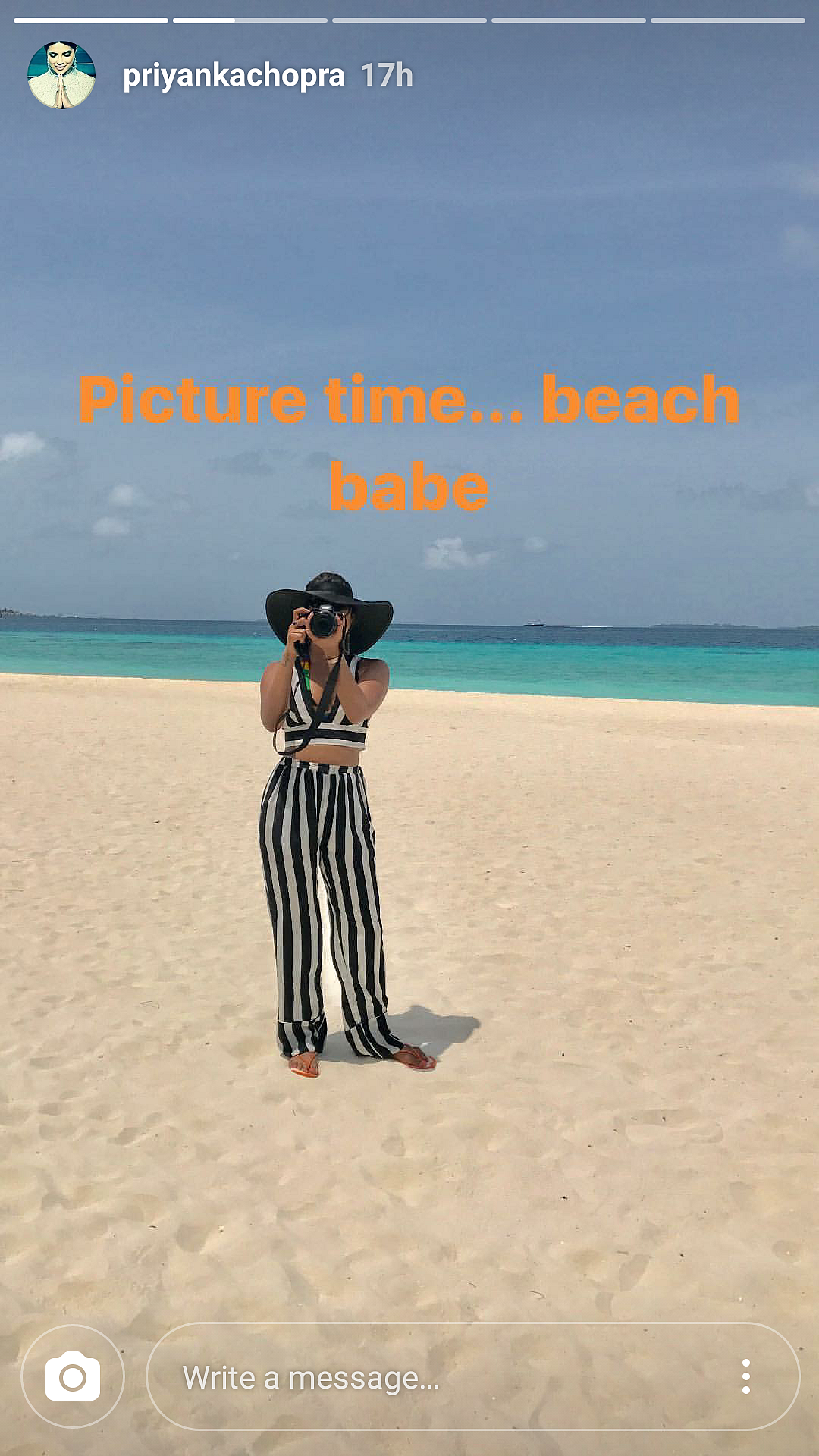 Birthday Girl Priyanka Chopra Is Partying With... a Shark!
