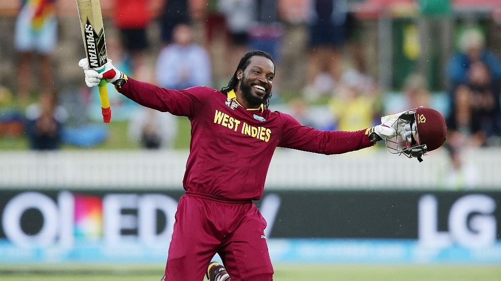 File photo of Chris Gayle celebrating  his first double century.