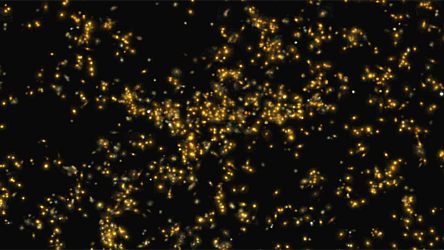 The distribution of galaxies, from Sloan Digital Sky Survey (SDSS), in Saraswati supercluster. (Photo Courtesy: <a href="http://www.iucaa.in/Saraswati-General.html">iucaa.in</a>)