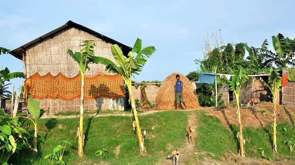 Houses on raised ground help char villagers stay safe during floods with banana trees and vegetable gardens preventing soil erosion.