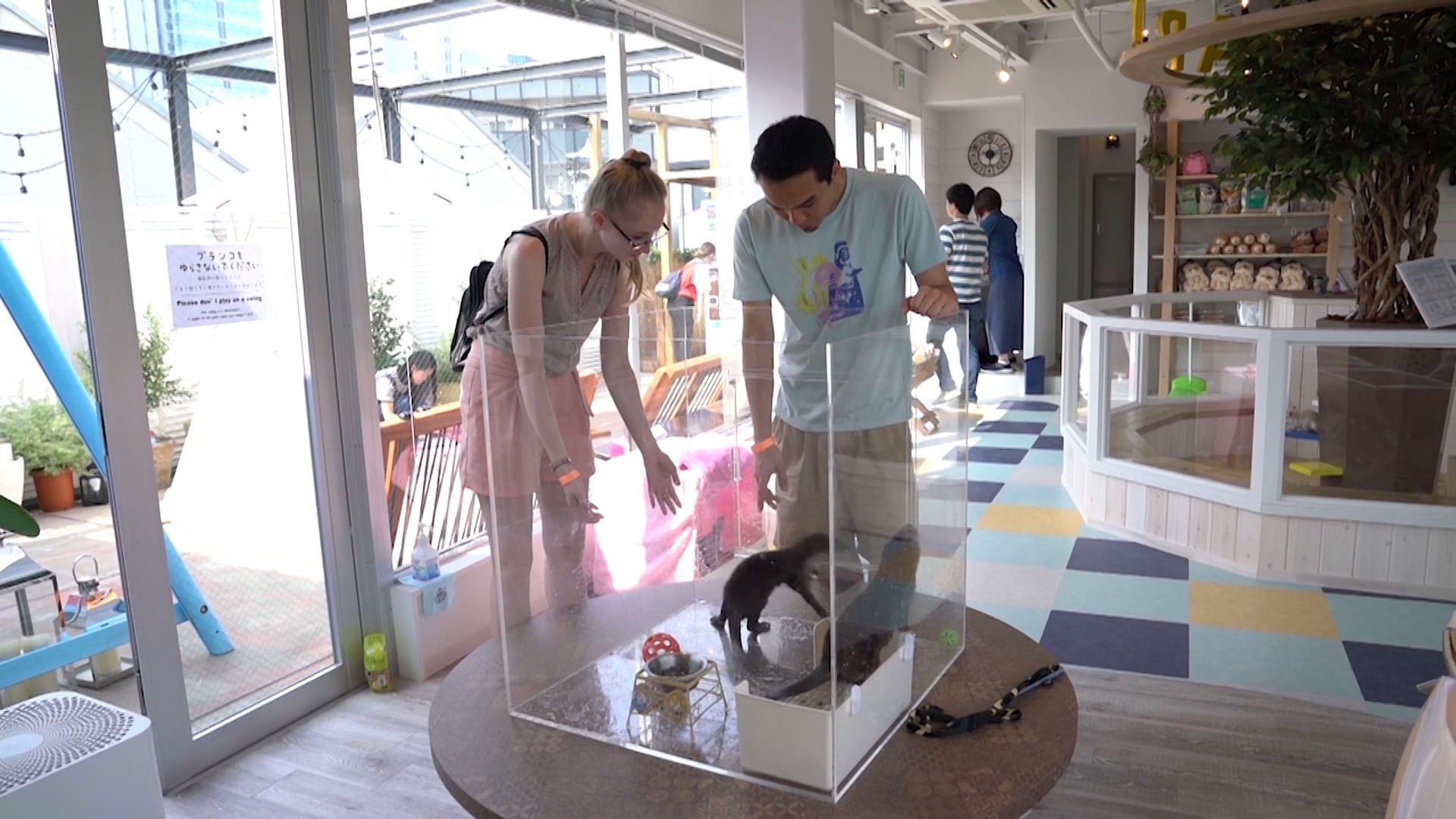 World’s first otter and Chinchilla cafe in Tokyo.
