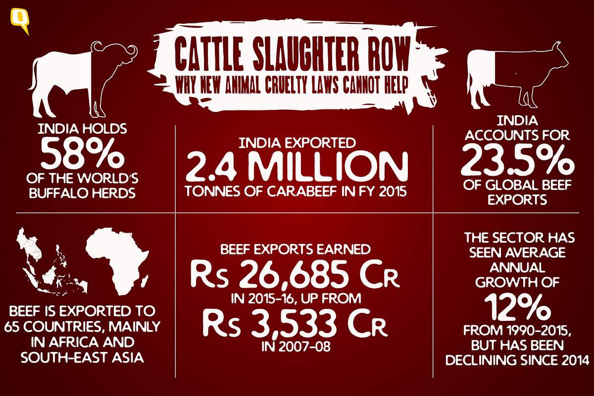 New cattle sale rules will hit hard a market dependent on animal products and its various stakeholders.