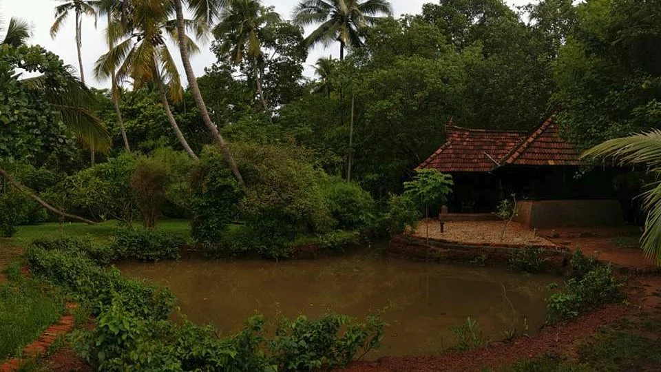 Sarovaram Ayurvedic Health Center.