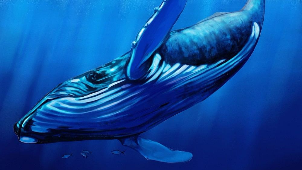 The rising popularity of the perverse Internet game, Blue Whale Challenge.&nbsp;