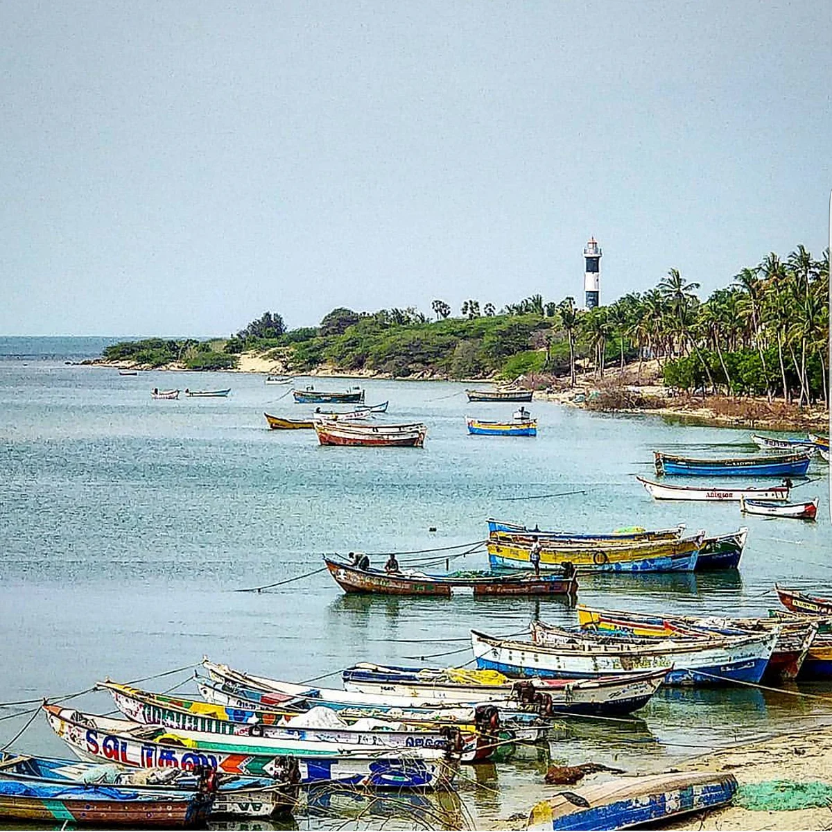 A Bridge, a Train Over the Sea & a Ghost Town: Rameswaram Diaries