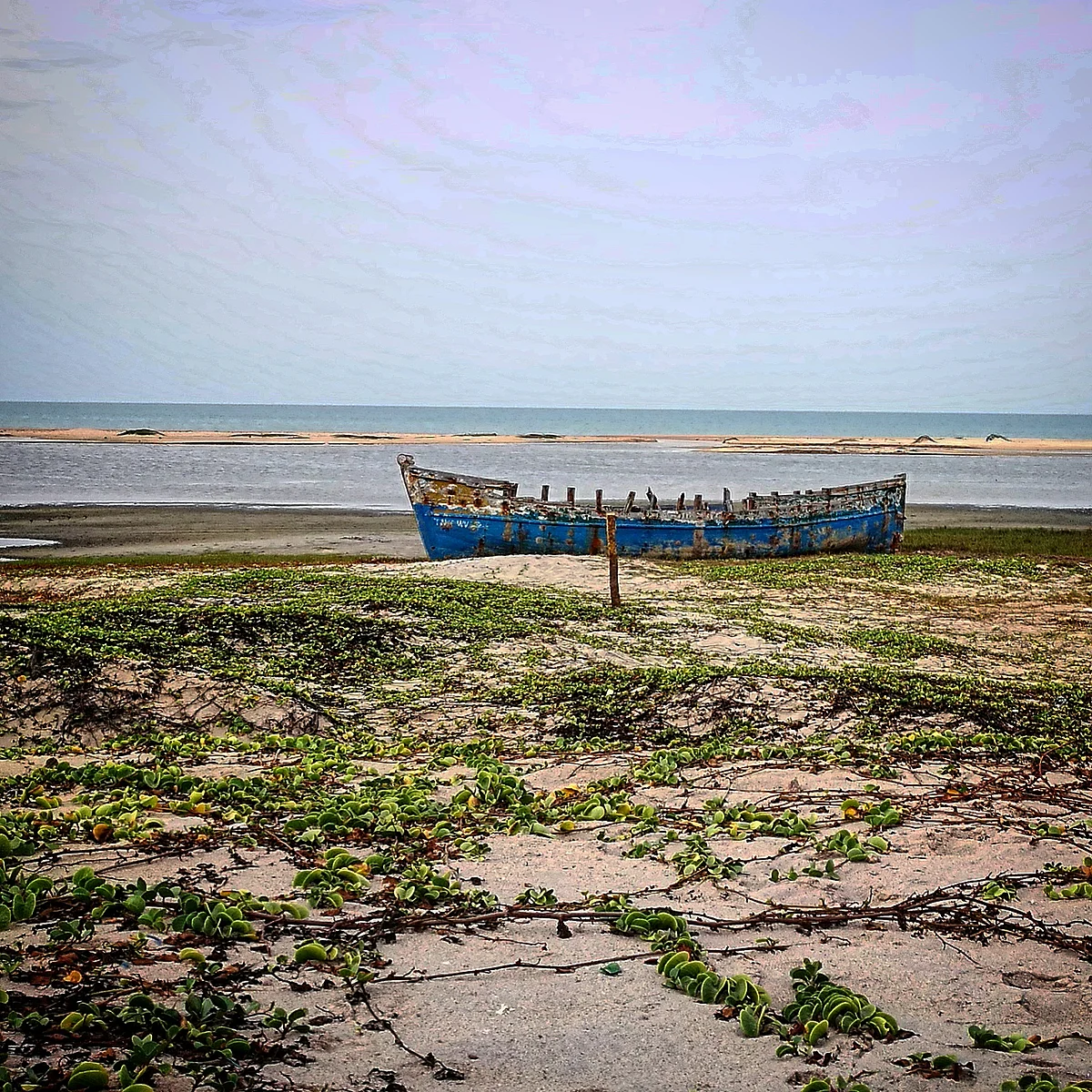 Along the road from Dhanushkodi to Land’s End.