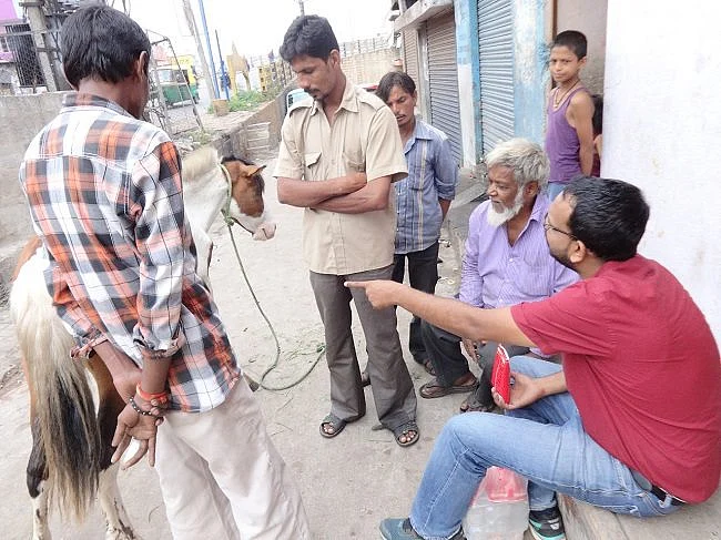 Bengaluru Man Devoted Years to Save City’s Abandoned Horses