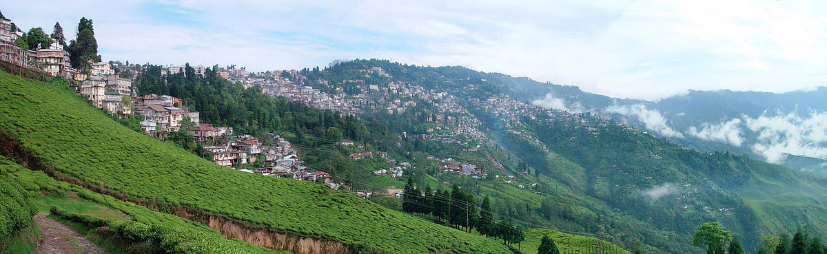 ‘No Path in Darjeeling is Straight’ by Parimal Bhattacharya is a compelling account of life in the town.