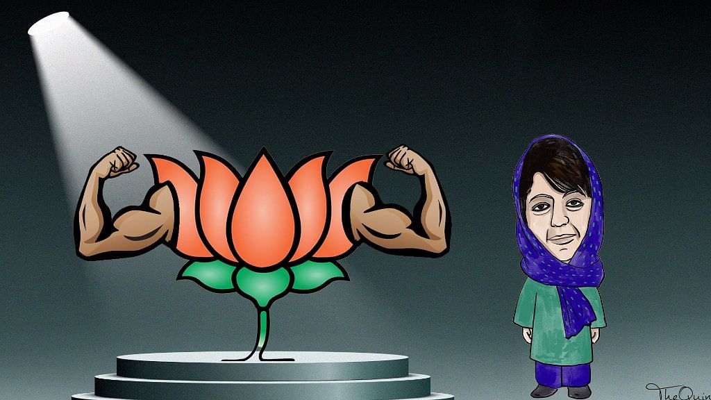 Article 35A Debate: How BJP’s Stand Puts PDP in the Dock in J&K 